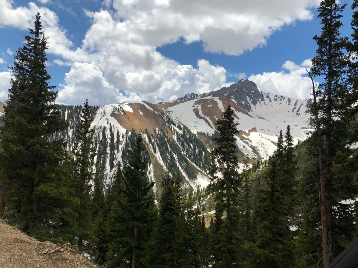 Timber Ridge 3*