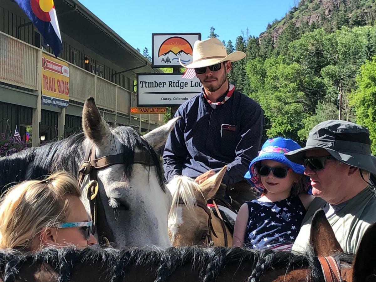 Timber Ridge Ouray